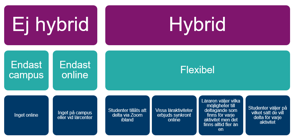 Ej hybrid: Endast campus. Endast online.Flexibel: Studenter tillåts att delta via Zoom ibland. Vissa läraktiviteter erbjuds synkront online. Läraren väljer vilka möjligheter till deltagande som finns för varje aktivitet men det finns alltid fler än en. Studenter väljer på vilket sätt de vill delta för varje aktivitet.