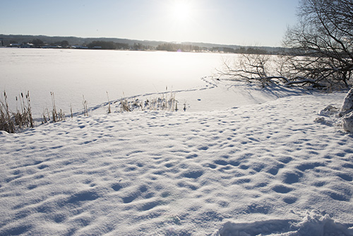 Snowy landscape, sun on an icy lake