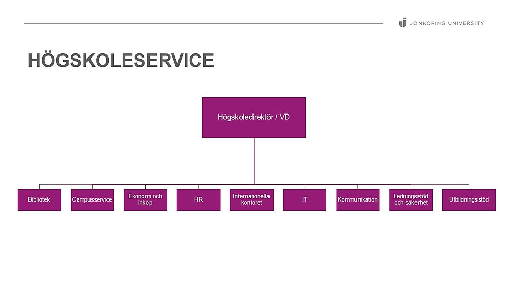 Organisationsskiss Högskoleservice
